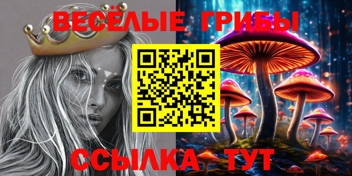 Псилоцибиновые грибы прущие грибы  Галлюциногенные грибы Psilocybine cubensis  Ногинск  как найти   Вход с VPN 